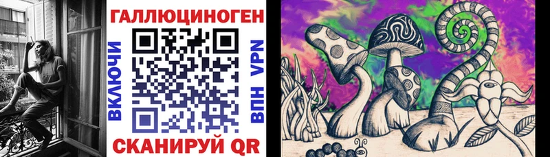 купить наркотики цена Ак-Довурак Галлюциногенные грибы Psilocybine cubensis
